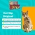Kit Gato Feliz: Erva de Gato e Bolinha de Diversão com Guizo - Bigodão Pet Shop