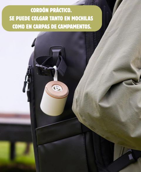 Carrusel Tecno Lonco