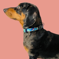Collar DAS