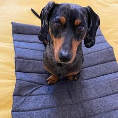 CAMA PORTATIL