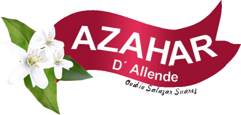 Apicola de Allende