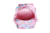Mochila Trama Relieve Dog - 18" Carro en internet