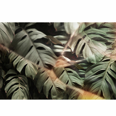 Empapelado Hojas Monstera - comprar online