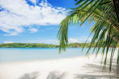 Empapelado Playa - tienda online