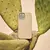 Funda Walden Bio iPhone XS - comprar online