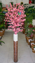 Pessegueiro Rosa Vaso Vidro G - 1.90cm - comprar online