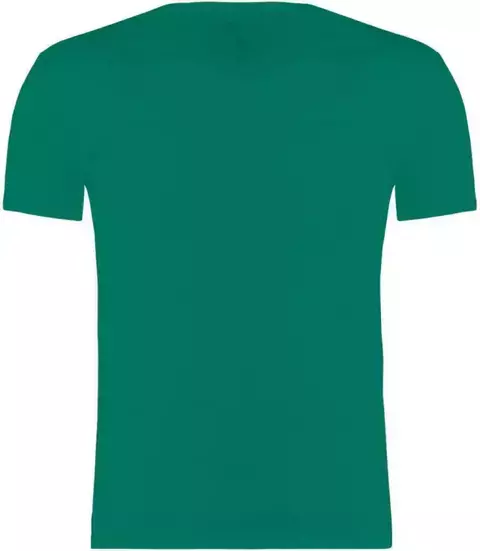 CAMISETA SLIM OGOCHI JUVENIL VERDE BANDEIRA GOLA O
