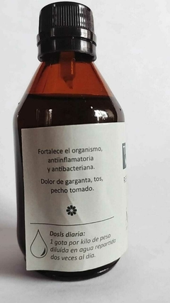 TINTURA MADRE "RESPIRATORIA" 60ml - comprar online