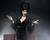 Neca Elvira Darkness en internet