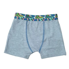 BOXER X2 - comprar online