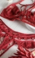 Imagem do LINGERIE PAIXÃO