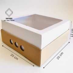 BANDEJA CON TAPA VISOR - 25X25X12 - comprar online