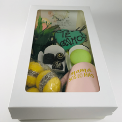 CAJA CON TAPA VISOR - 25X15X7 - tienda online