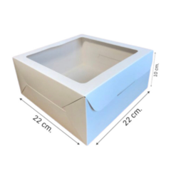CAJA CON VISOR - 22X22X10