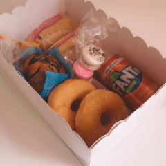 CAJA CON TAPA PVC - 26X17X10 - Vikybox