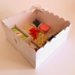 CAJA CON TAPA PVC - 20X20X10