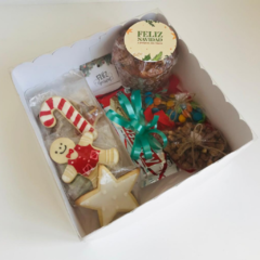 CAJA CON TAPA PVC - 25X25X10 - tienda online