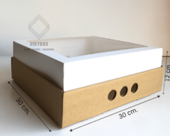 BANDEJA CON TAPA VISOR - 30X30X12 - comprar online