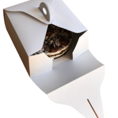 CAJA PARA TORTAS - 27X27X12 en internet