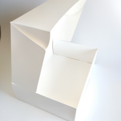 CAJA SIN VISOR - 33X24X10 en internet