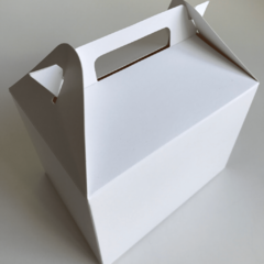 Maletín Mediano Sin Visor - 14x10x10 - Vikybox