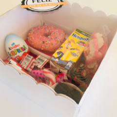 CAJA CON TAPA PVC - 20X20X10 - Vikybox