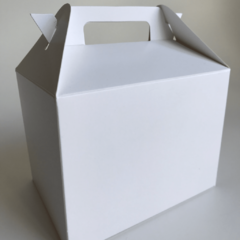 Maletín Mediano Sin Visor - 14x10x10 - tienda online