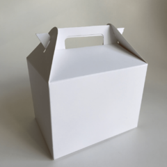 Maletín Mediano Sin Visor - 14x10x10