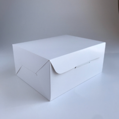 CAJA SIN VISOR - 17X22X10