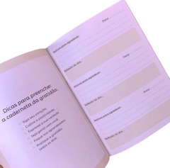 Pocket Planner Gratidão - Cartões Gigantes - comprar online