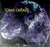 Tomie Ohtake - Autor: Ricardo Ohtake (2001) [seminovo]