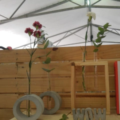 Imagem do Vaso em flor_Minimalista_ Redondinho