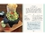 The Mexican Home Kitchen en internet