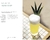 Mezcal and Tequila Cocktails - tienda en línea
