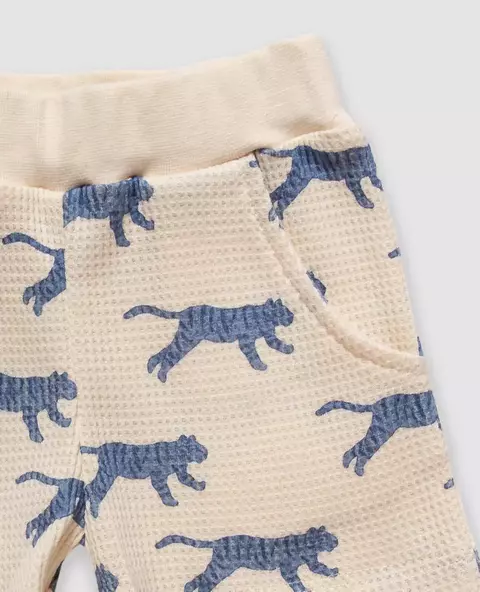 Bermuda bebe Sumatra