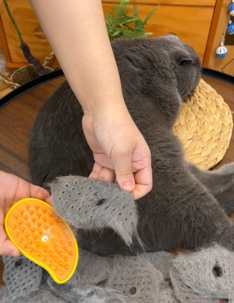 Pente removedor de pelos com vaporizador