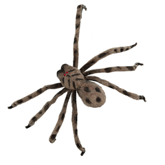 ARAÑA *ATIGRADA* 6x74x20cm