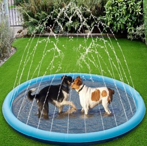 Piscina Chafariz para Pets