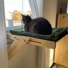 Cama de ventana para michis