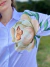 Camisa Branca| Flor amarela