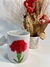 Kit Caneca + Arranjo Flores Desidratadas na internet