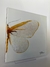 Azulejo Decorativo - Borboleta metade na internet