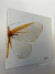 Azulejo Decorativo - Borboleta metade na internet