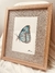 Quadro Borboleta - Vidro | Moldura em madeira - comprar online