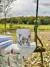 Caneca "Natureza" - comprar online