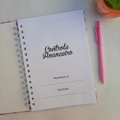 Controle Financeiro na internet