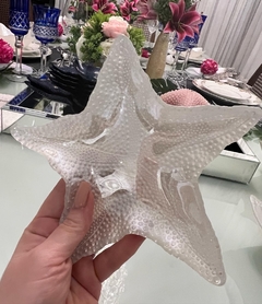 Prato Decorativo Vylux - Estrela Branca Perolizada - 18cm - comprar online