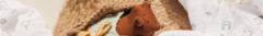 Banner de la categoría Recién Nacido 