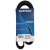 Correia 6PK1365 - Dayco