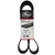Correia 8PK1290